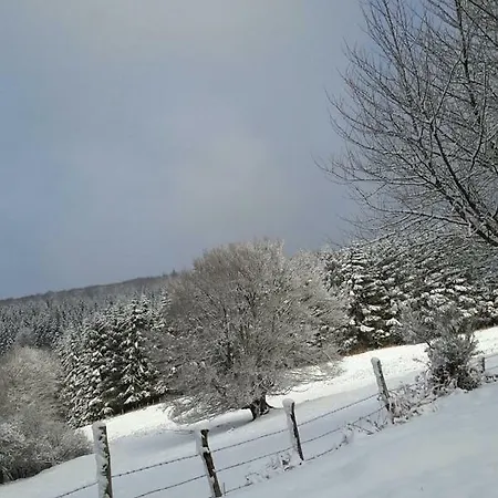 Montagne Dor Bed & Breakfast Saint-Nicolas-des-Biefs